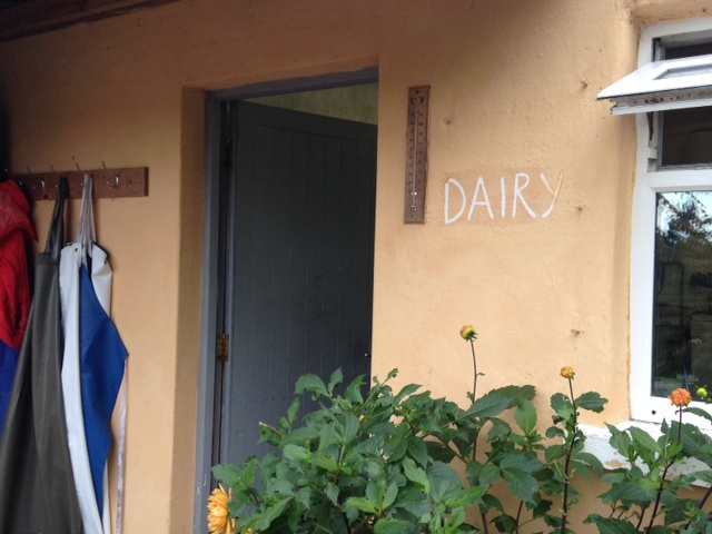 photo 2(5)