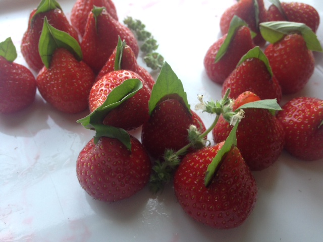 photo 5(7)