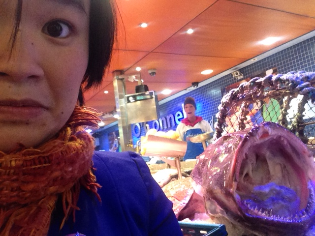 photo 1(19)
