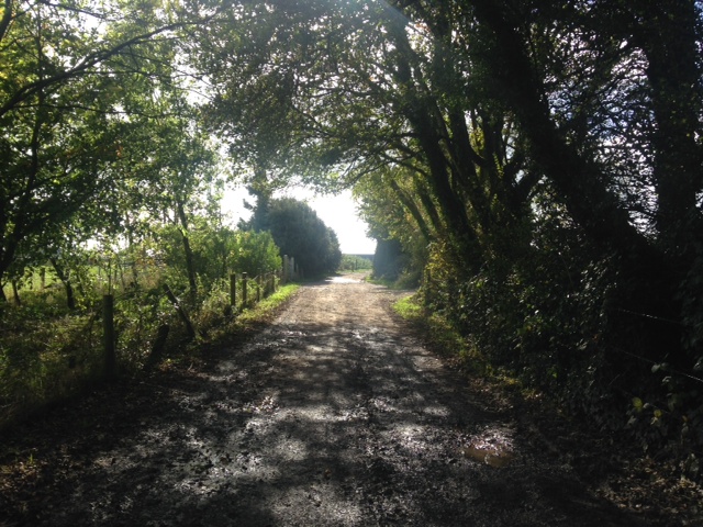 photo 1(21)