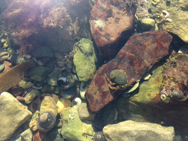 photo 2(6)