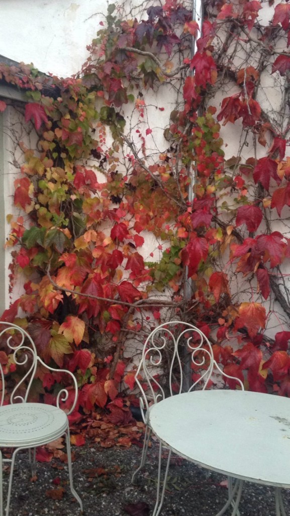 photo(1)
